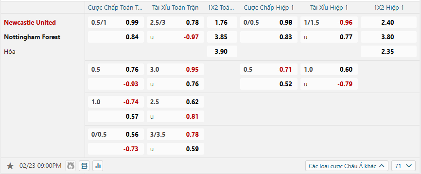 nhan-dinh-soi-keo-newcastle-united-vs-nottingham-forest-luc-21h00-ngay-23-2-2025-2